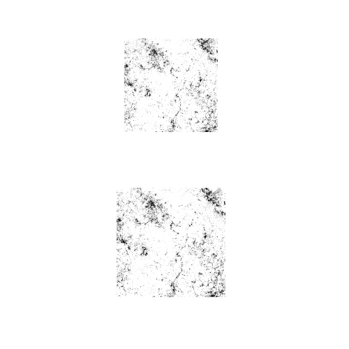 NIDUS